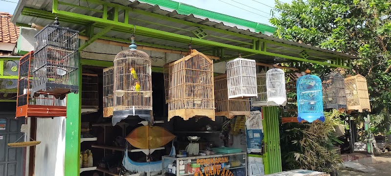 Kenariku_CLP Kios Burung: Jantung Kebahagiaan Burung Cilacap